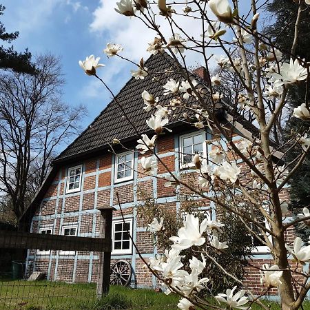 Schoenes Apartment Vor Den Toren Hamburgs - Keine Monteurwohnung Asendorf المظهر الخارجي الصورة